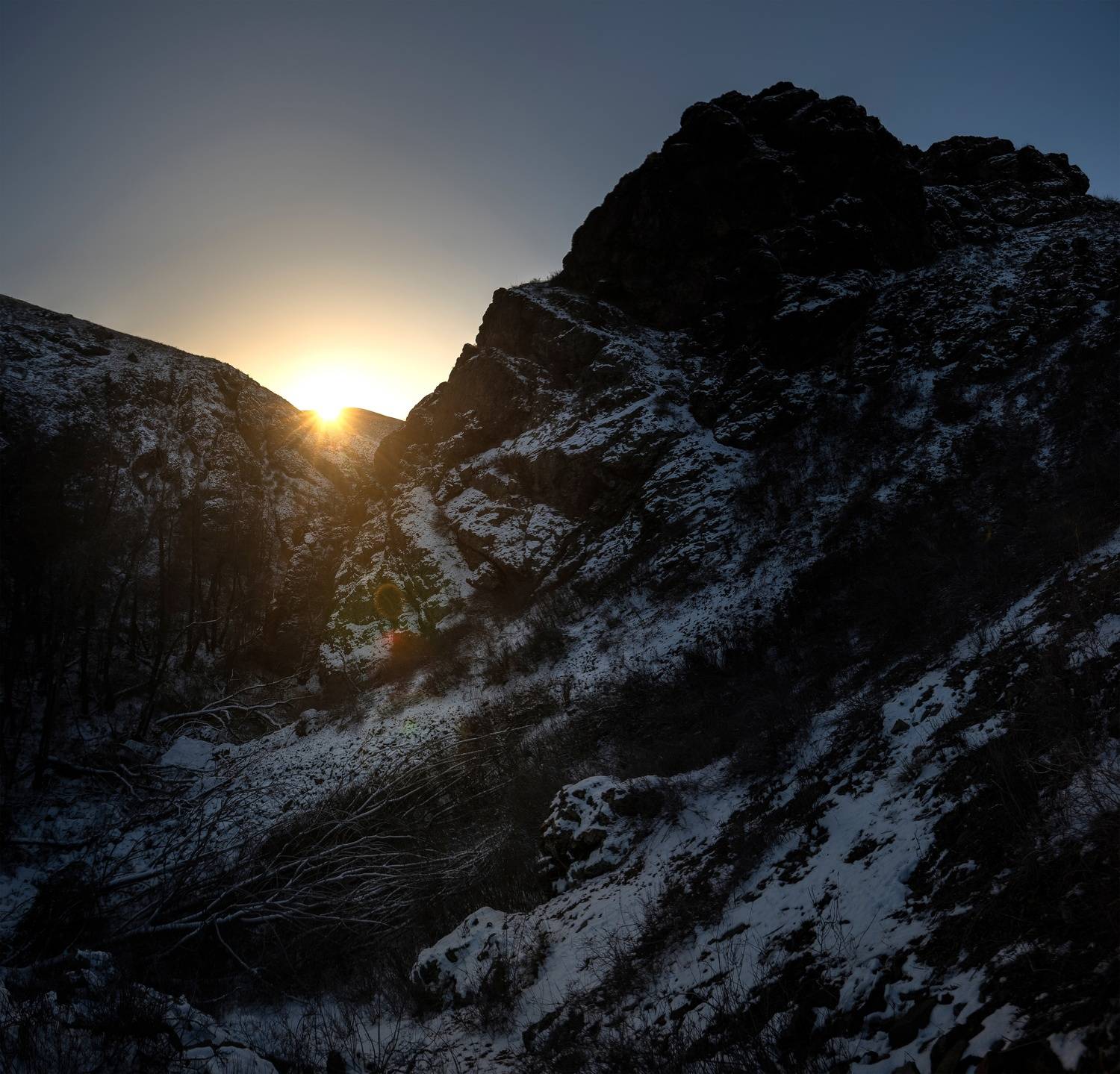 Автор: Антонов Антон , Антонов Антон