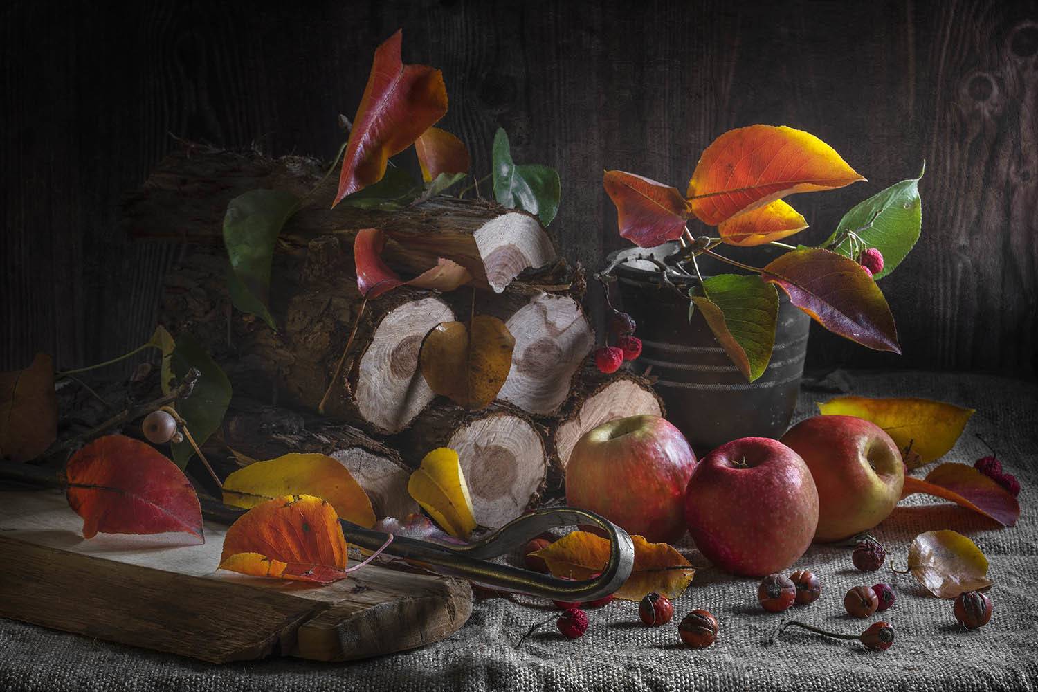 яблоки и листья, Солодар Виктория