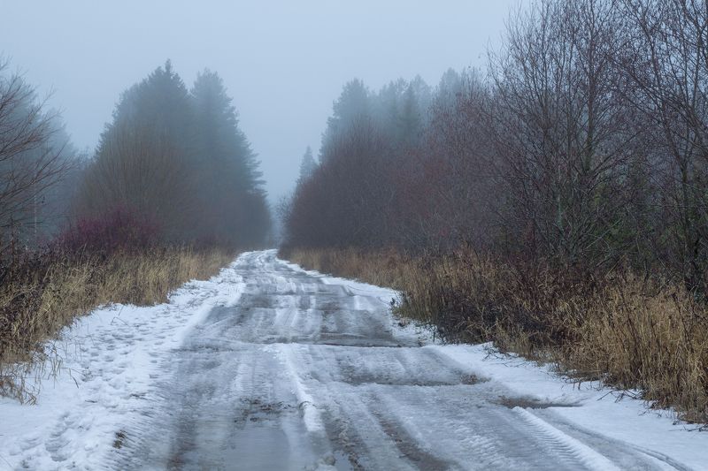 Туманны ноябряphoto preview