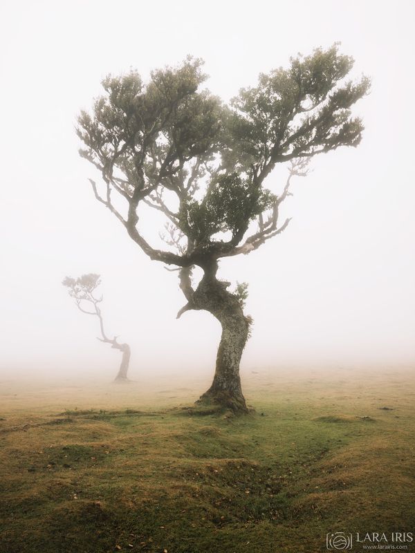 Другой мирphoto preview