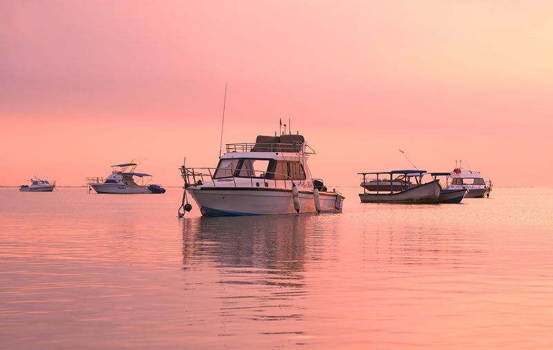dawn, sunrise, shore, sea, ocean, sky, horizon, color, light, reflection, landscape, nature, morning, bright Pink morningphoto preview