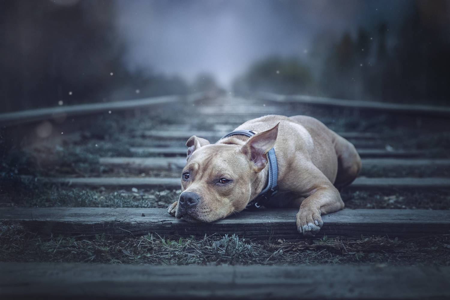 , Матвеева Наталия