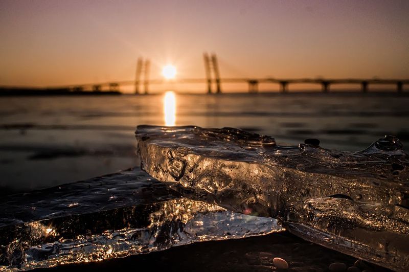 Ice creaturephoto preview