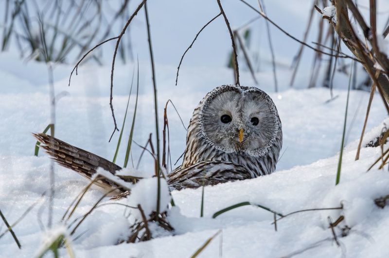 Поймалаphoto preview