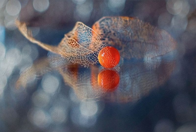 натюрморт Бусинаphoto preview