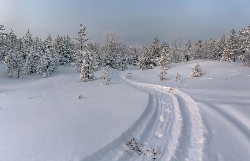 В студёную зимнюю пору.photo preview