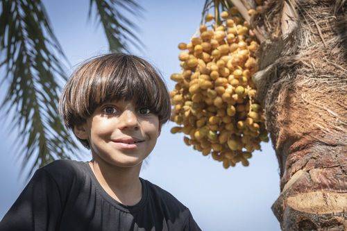 iraqi 