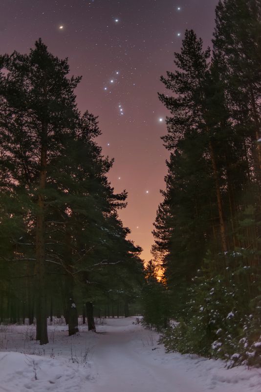 Январский Орионphoto preview