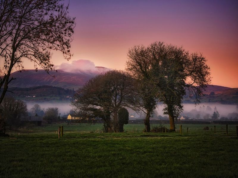 The fogphoto preview