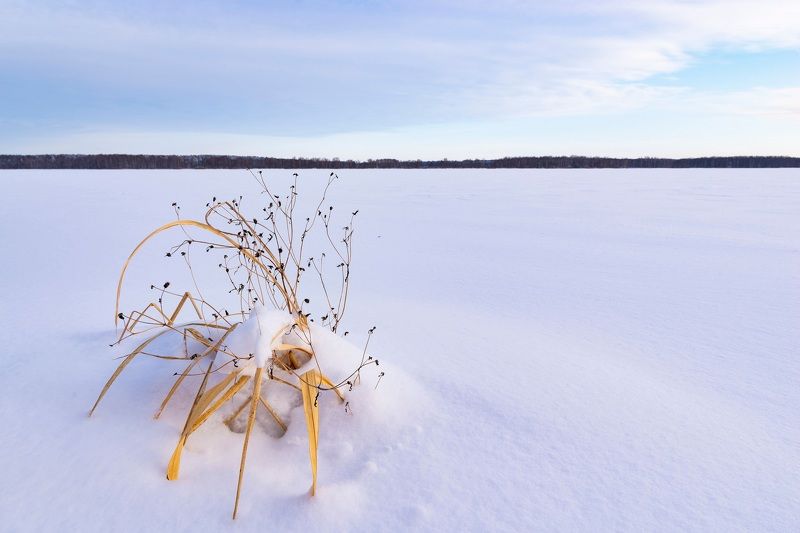 Пришелецphoto preview