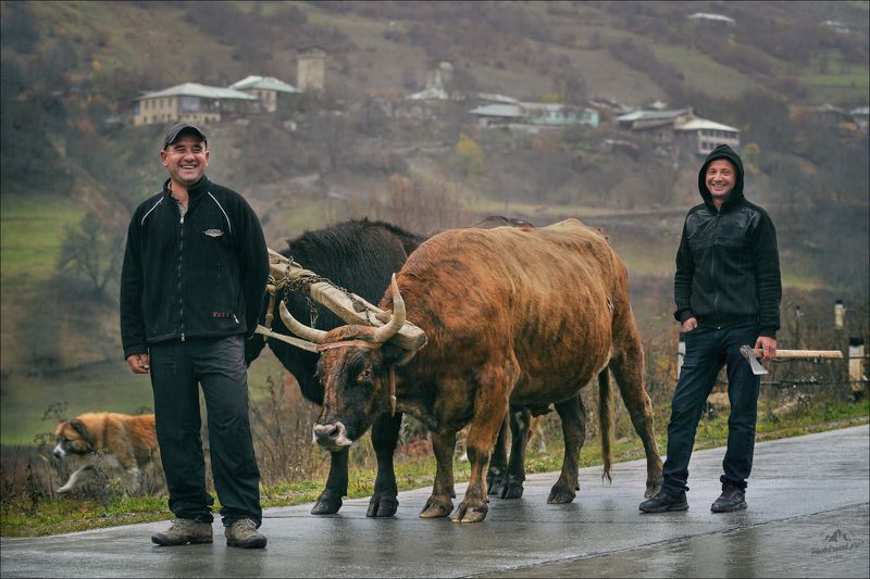 грузия, сванетия, верхняя сванетия, местия, местиа, ушгули, лесорубы, фототур в грузию, фототур в сванетию, весенний фототур в грузию Жизнь в глазах ..photo preview