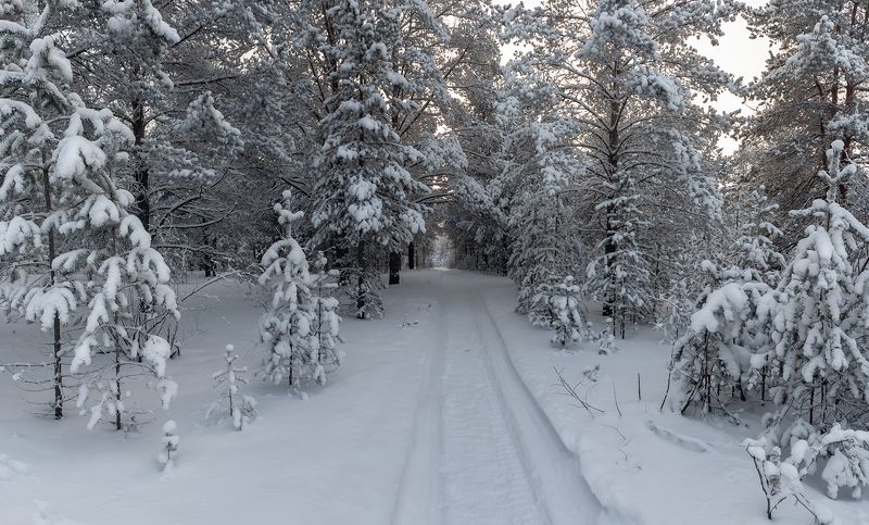 Дорога к дому.photo preview