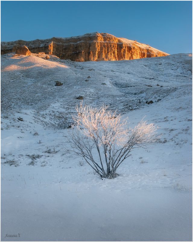 На рассветеphoto preview