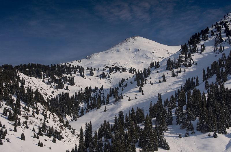 В ущелье р. Ким-Асарphoto preview