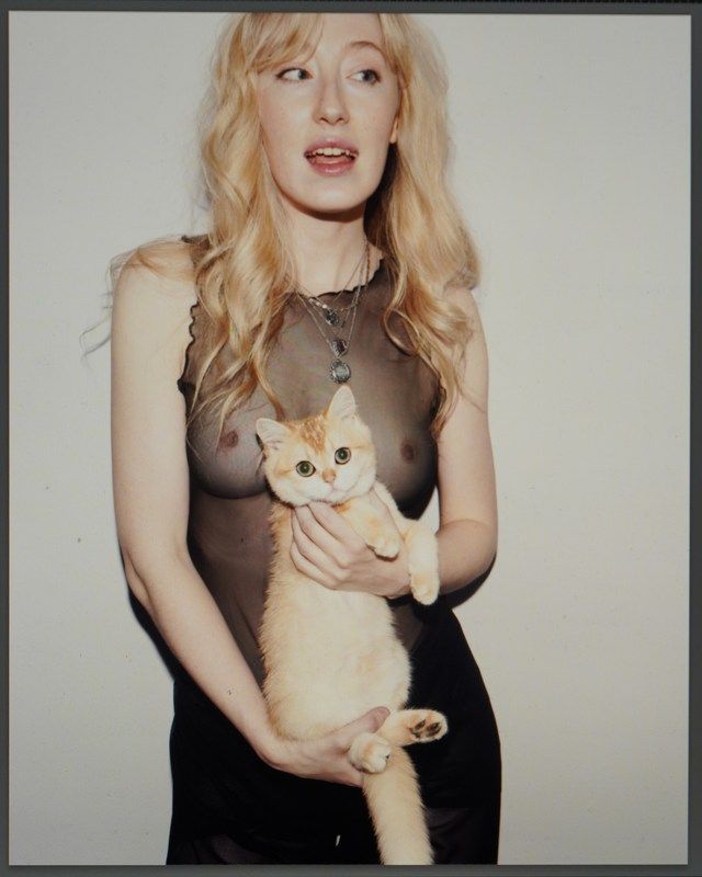 girl, nude, transparent, clothes, dress, photographer, Sony, camera, cat, kitten, kitty, pussy, b&w, flash, at home, blondie Hellaphoto preview