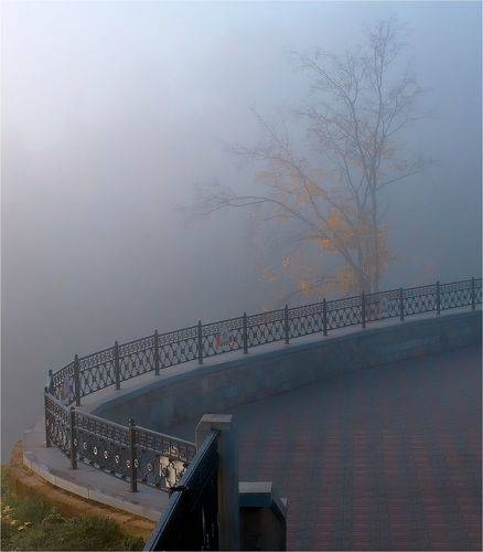 Александровские клёны