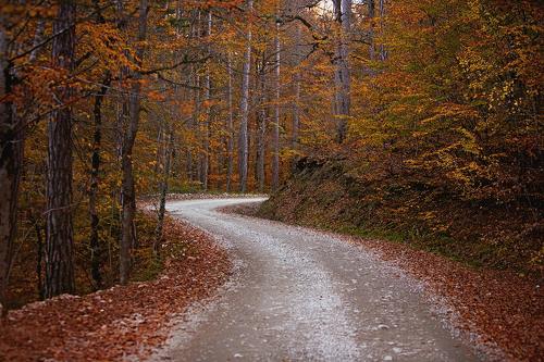 Bolu