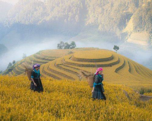 Vietnam