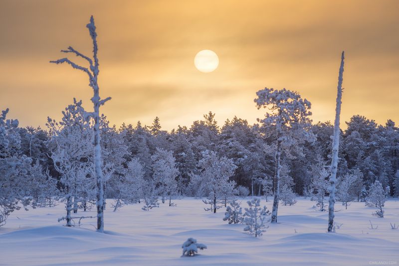 Заледеневший северphoto preview
