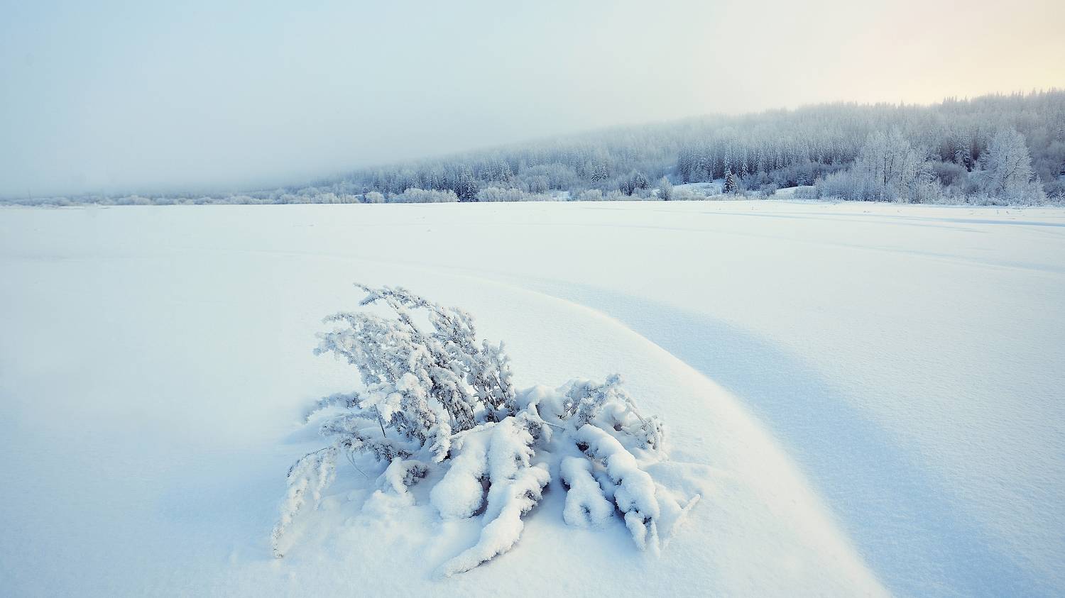 , Лисаускас Илья