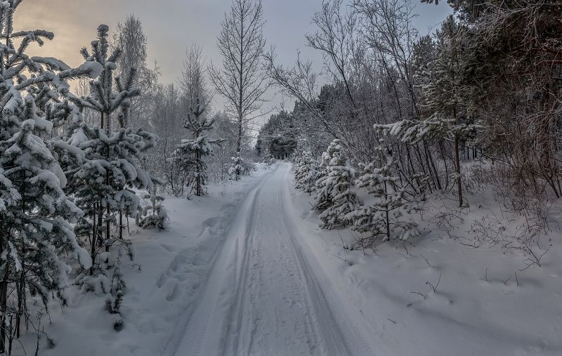 Зимняя дорога.photo preview