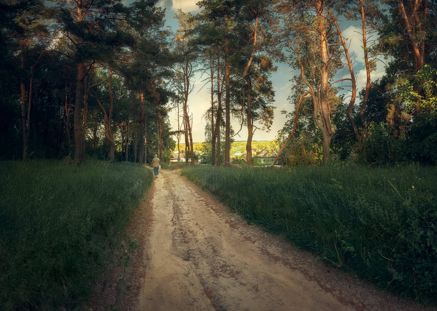 лето, лес, деревня, дорога, путник, Андрей Кровлин