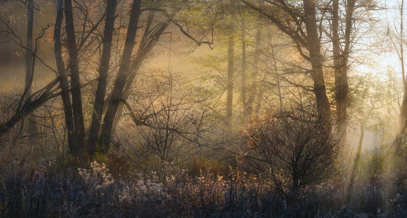 тула, ясная поляна, воронка Осенний рассветphoto preview