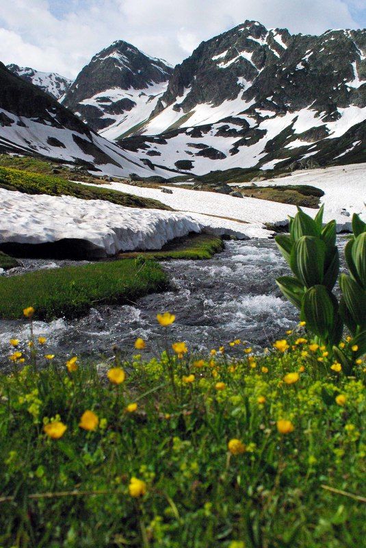 Весенняя долина ...photo preview