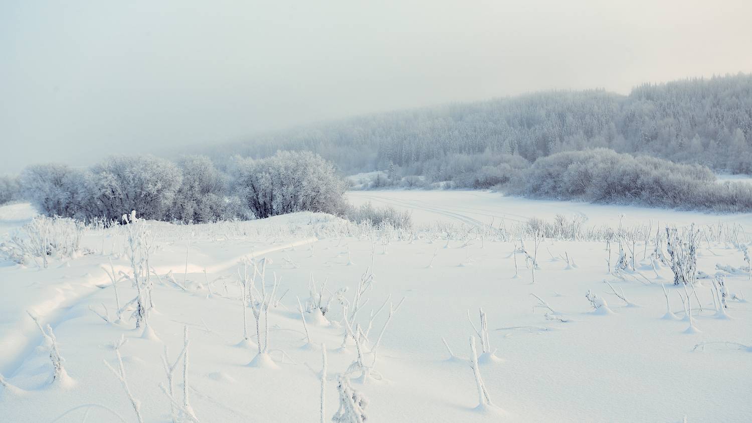 , Лисаускас Илья