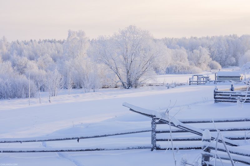 В королевстве инеяphoto preview