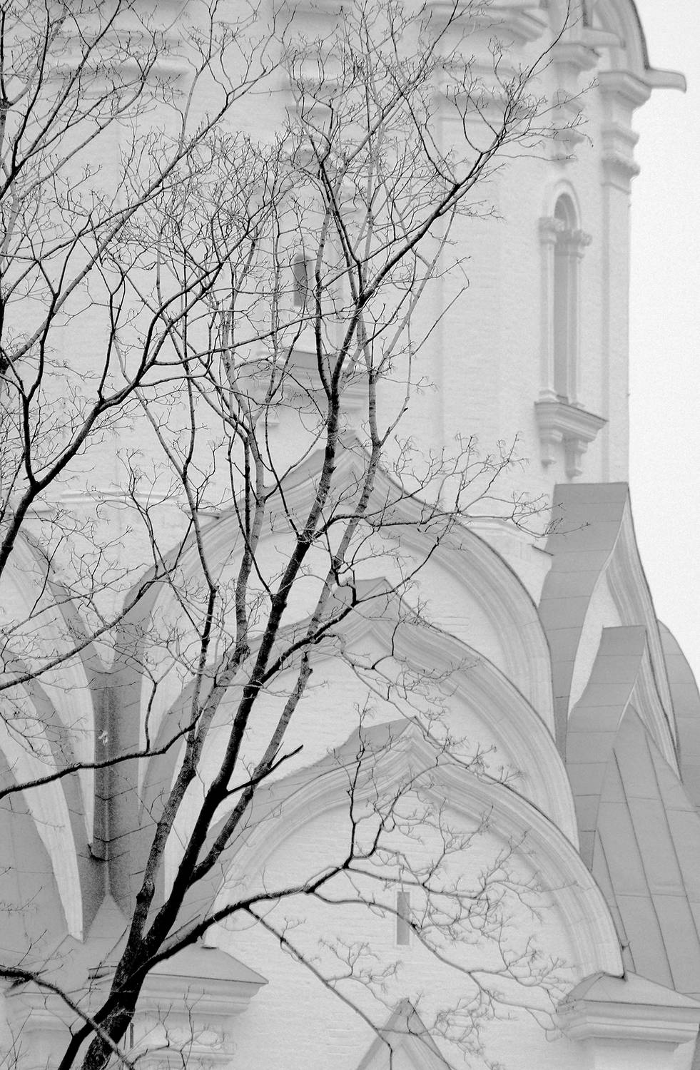 , Андрей Петросян