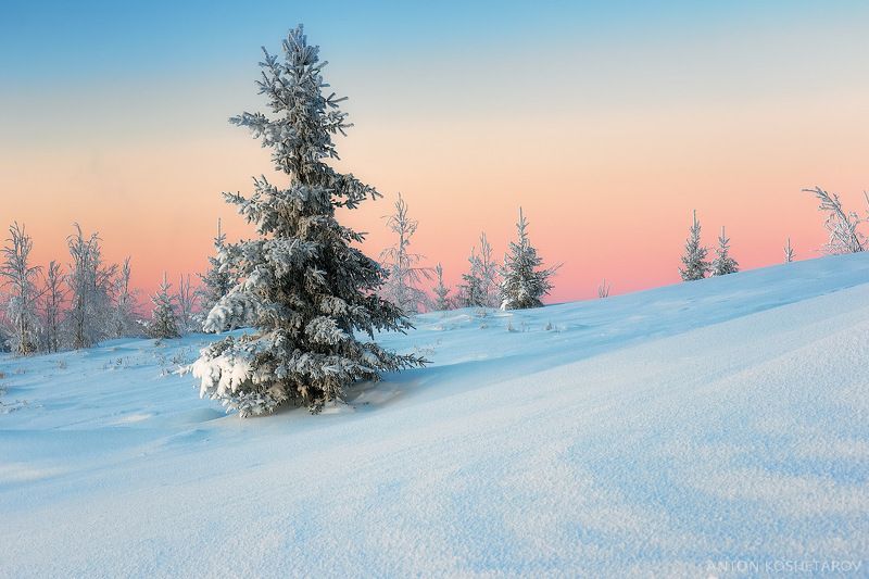 Пермский край, январь 2024гphoto preview