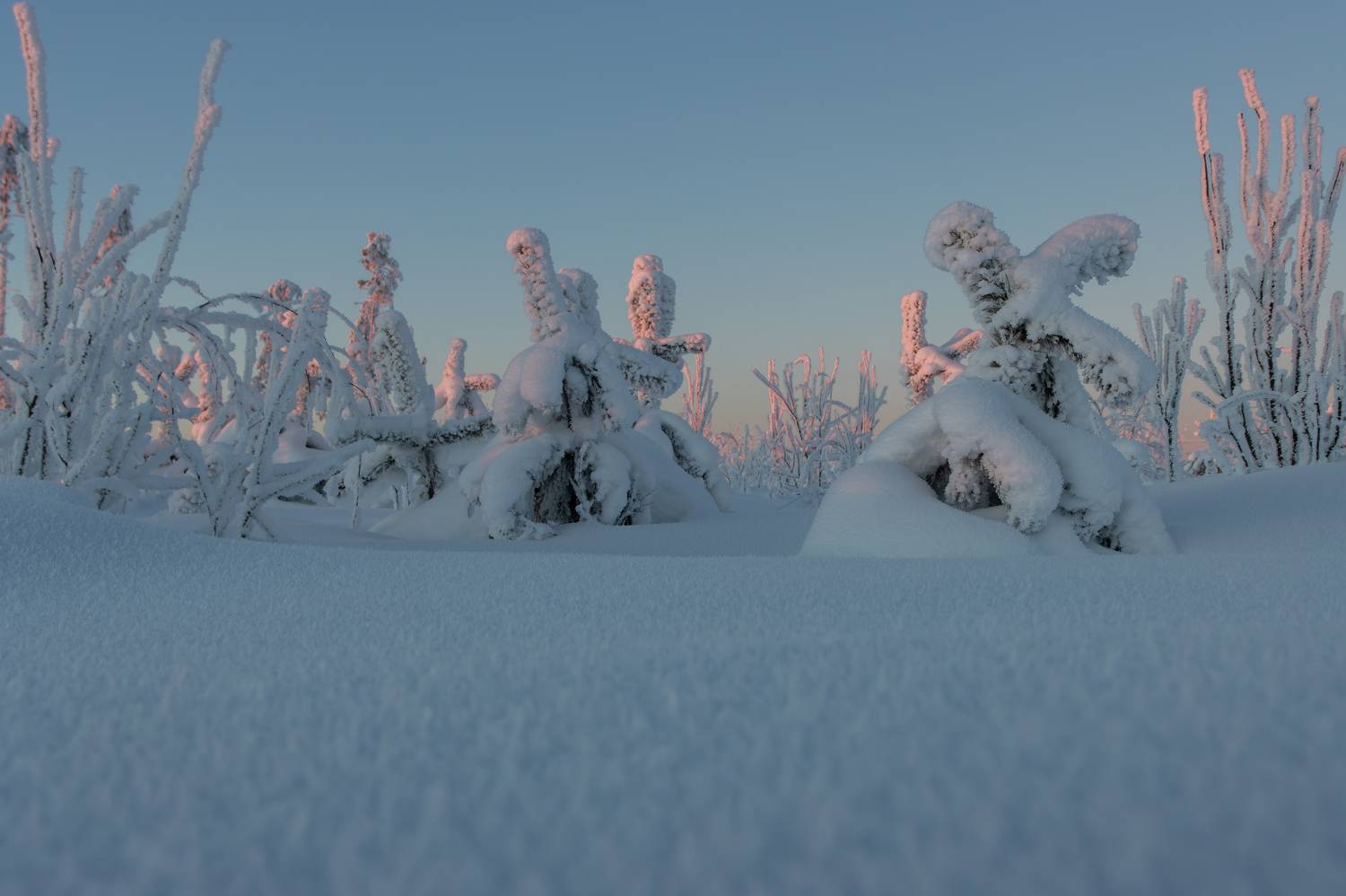 зима, снег, мороз, иней, сугроб, солнце, закат, вечер, Светлана Холодняк