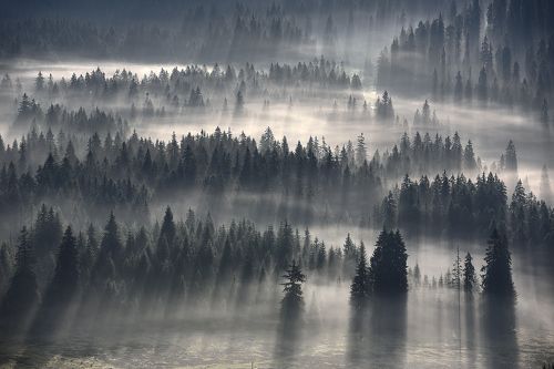 Туманные реки