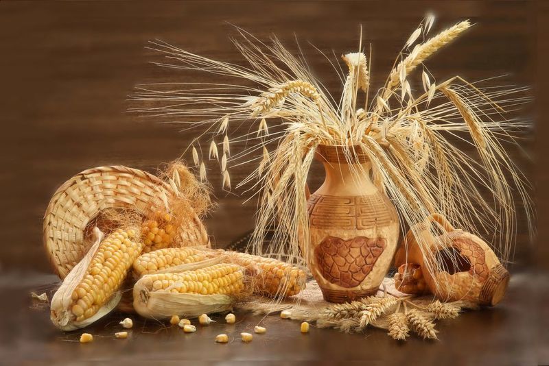 натюрморт, колоски, кукуруза, горшок С колоскамиphoto preview