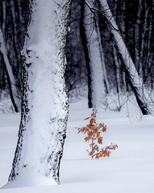 Малышphoto preview