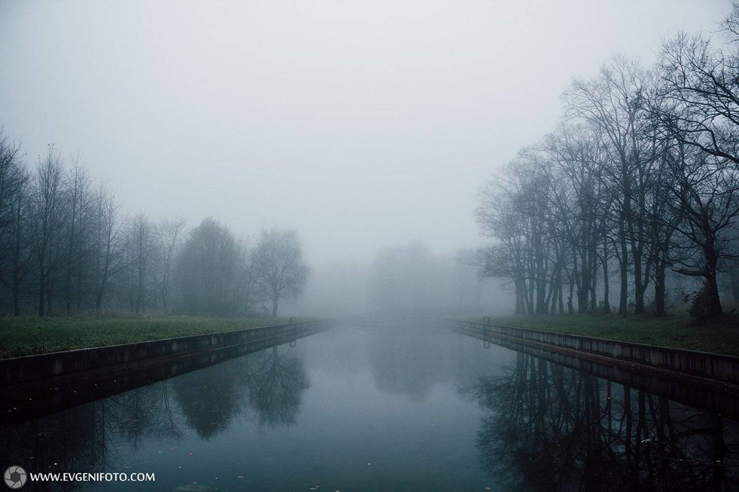 Ноябрский Туман. Автор: Евгений туман,осень,ноябрь,природа,пейзаж, Евгений