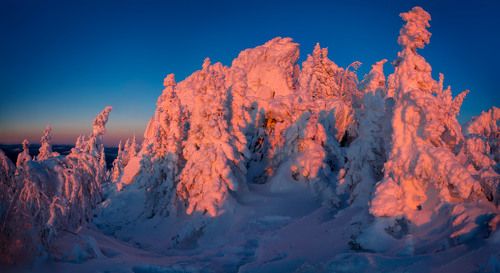 Праздник зимнего света