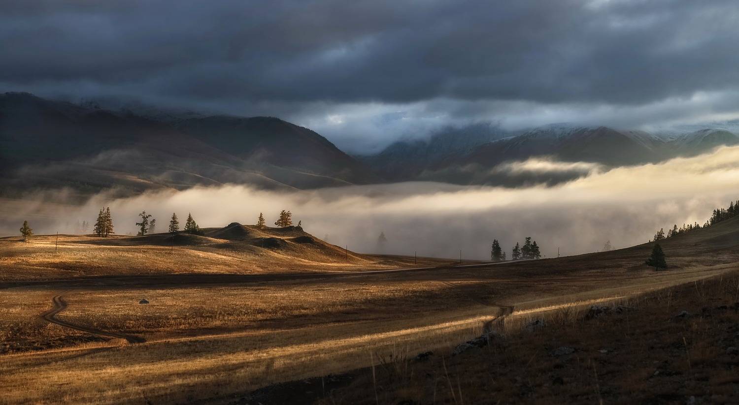 алтай, крайская степь, осень, туман, дороги, солнце, Фомина Марина