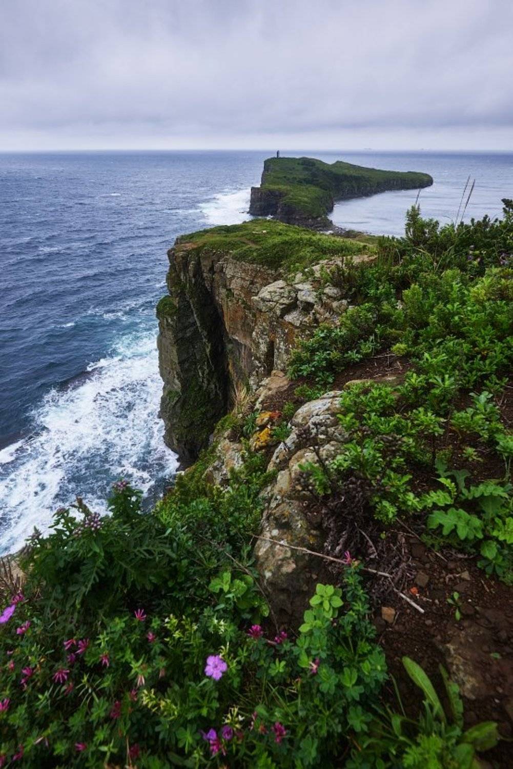 , Михаил Зверев