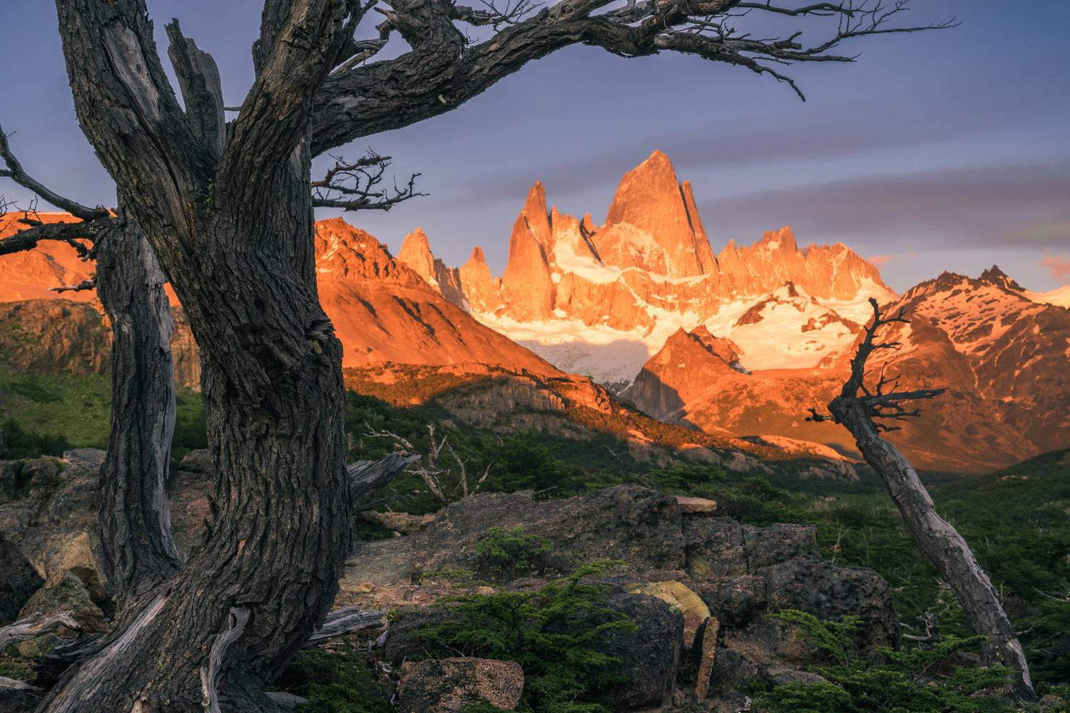 Рассвет с видом на Фицрой. Автор: Александр Константинов , Александр Константинов