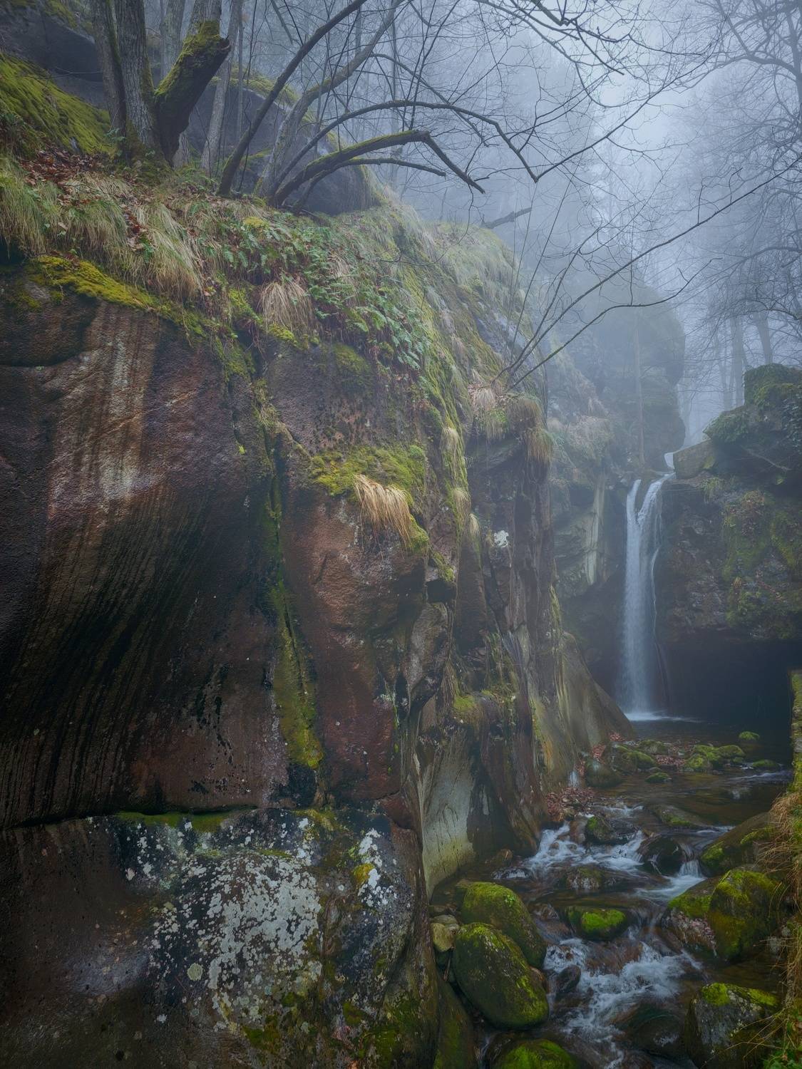 Автор: Герчев Николай Landscape # forest #fog # waterfall , Герчев Николай