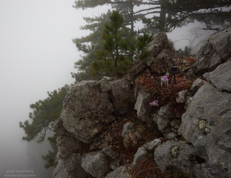 Первый контакт ...photo preview