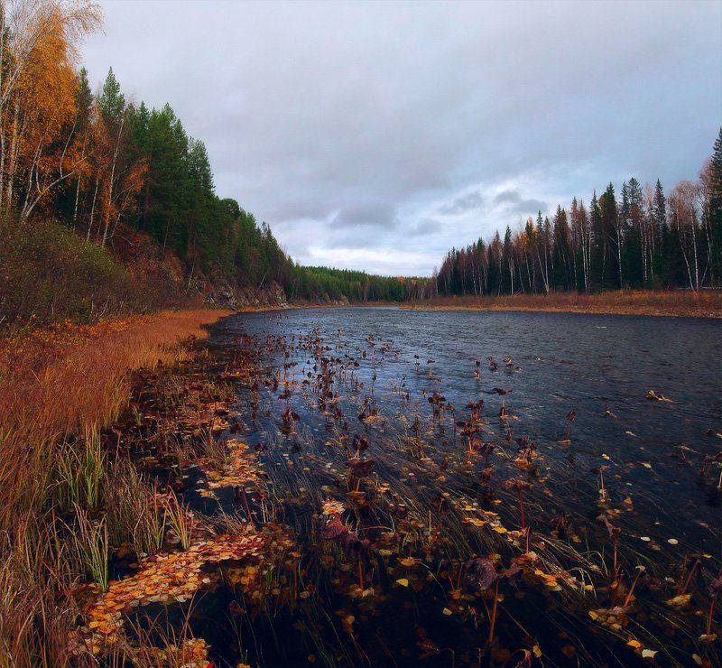 северный урал, большая сосьва, осень На Большой Сосьвеphoto preview