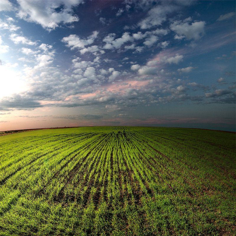 О параллелях, убегающих за горизонталь.photo preview