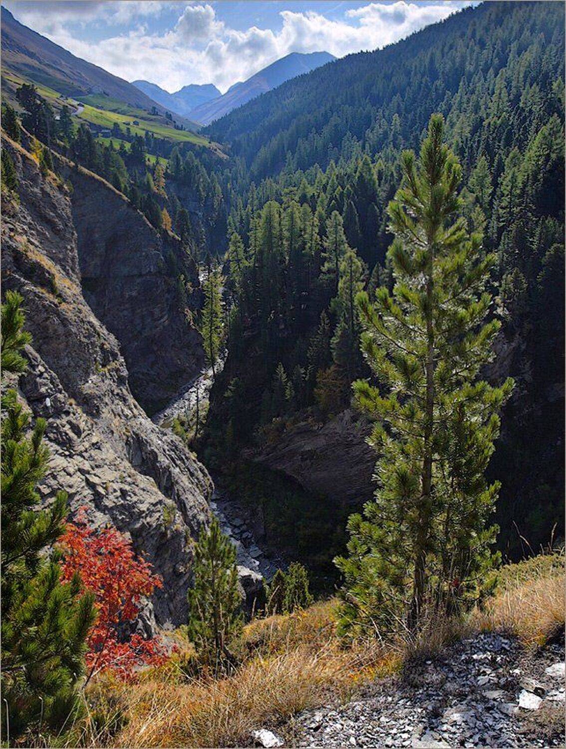 швейцария, alps, swiss, switzerland, Julia Art