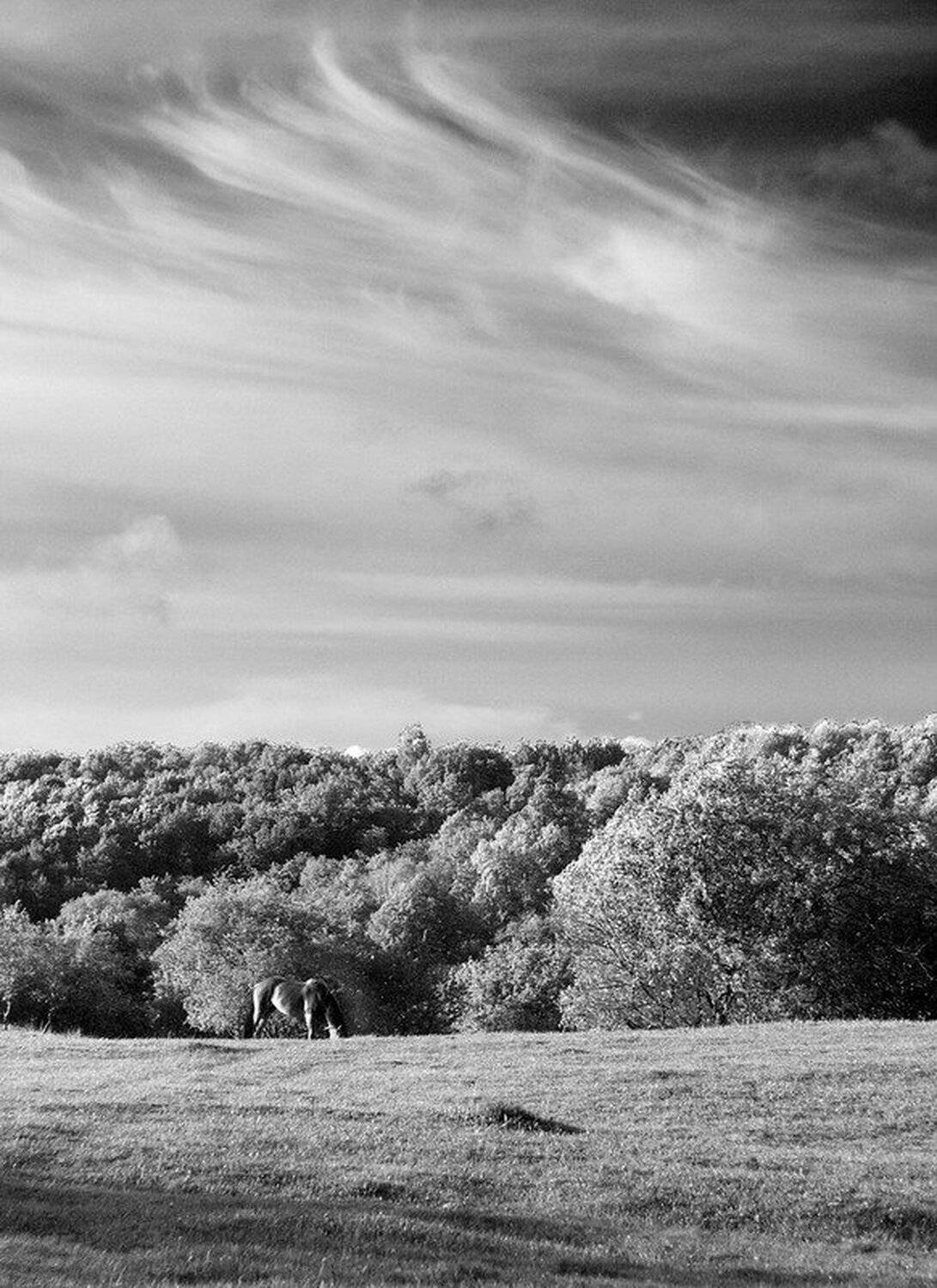 Автор: KissHer , KissHer