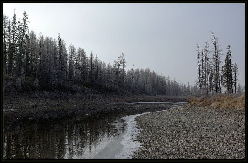 река, тайга, предзимье Скоро зимаphoto preview