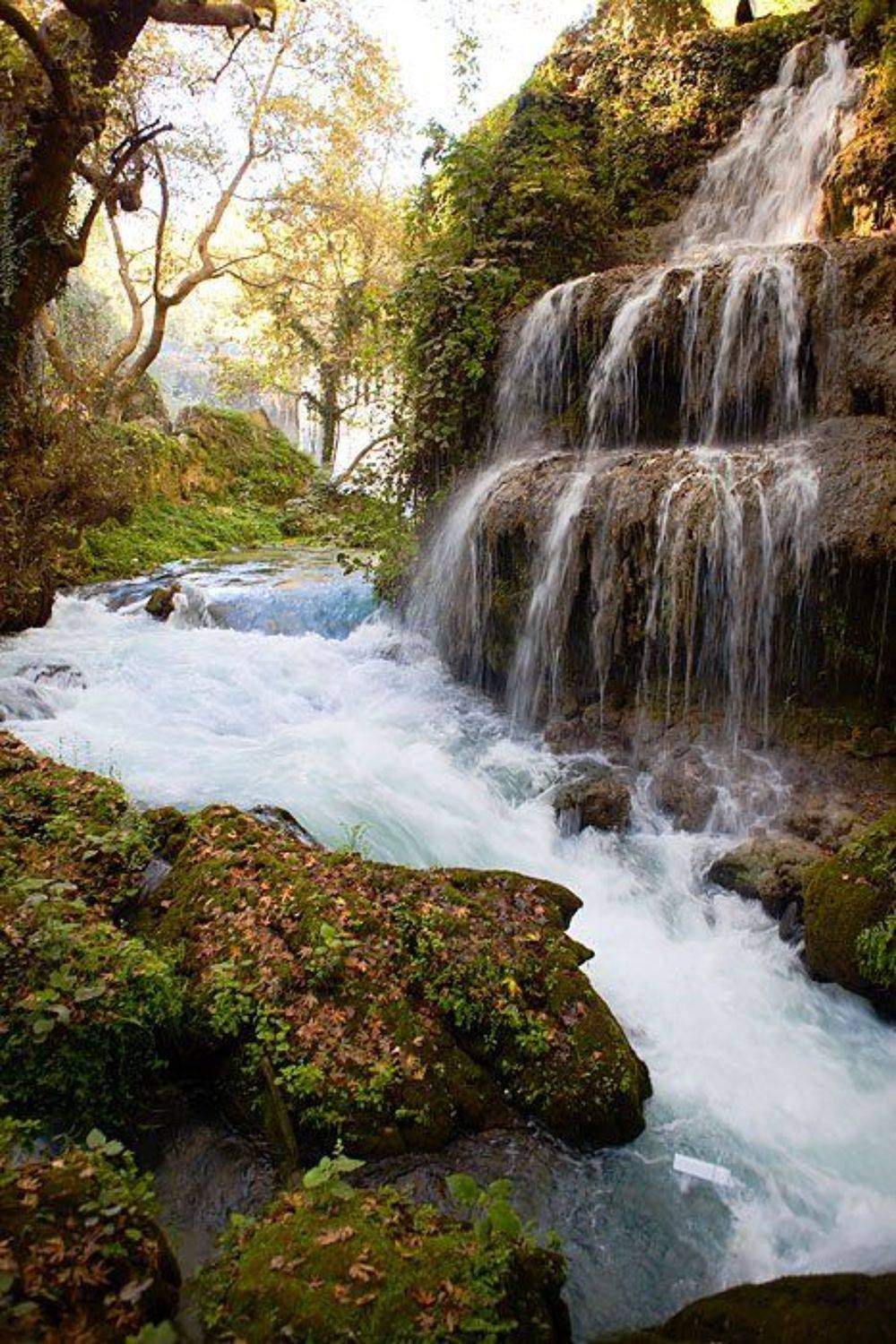 ****. Автор: Andrey Y. Polees , Andrey Y. Polees