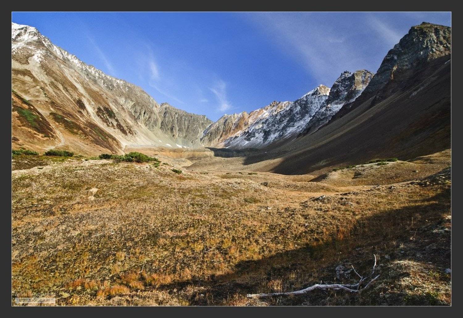камчатка, вачкажец, летняя, поперечная, Артем Безотечество